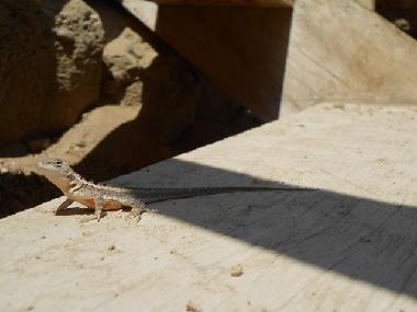 Casa de vacaciones en Mancora (Piura)Casa de vacaciones