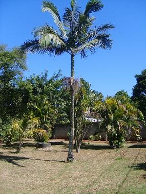 Cama y desayuno en Maric� (Rio de Janeiro)Casa de vacaciones