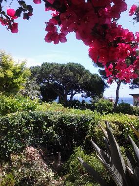 Apartamento de vacaciones en Cannes (Alpes-Maritimes)Casa de vacaciones