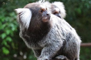 Villa en Pipa (Rio Grande do Norte)Casa de vacaciones