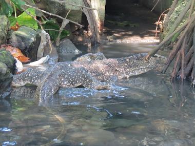 Cama y desayuno en Akurala, Hikkaduwa (Galle)Casa de vacaciones