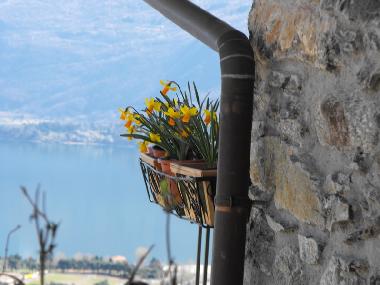 Apartamento de vacaciones en  Gravedona ed Uniti (Como)Casa de vacaciones