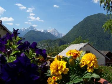 Apartamento de vacaciones en Mojstrana (Kranjska Gora)Casa de vacaciones