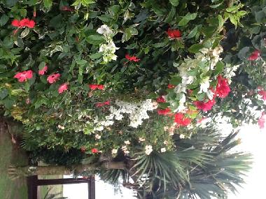 Casa de vacaciones en Buzios (Rio de Janeiro)Casa de vacaciones