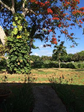 Villa en La Romana (La Romana)Casa de vacaciones