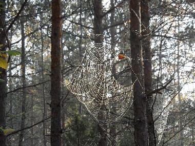 Casa de vacaciones en Valdemarsvik (�sterg�tland)Casa de vacaciones