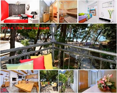Apartamento de vacaciones en Makarska (Splitsko-Dalmatinska)Casa de vacaciones