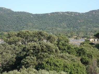 Apartamento de vacaciones en portovecchio (Corse-du-Sud)Casa de vacaciones