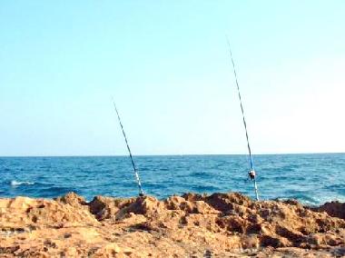 Apartamento de vacaciones en Torrevieja (Alicante / Alacant)Casa de vacaciones