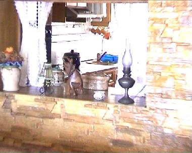 Apartamento de vacaciones en Torrevieja (Alicante / Alacant)Casa de vacaciones