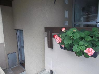 Apartamento de vacaciones en Lauterbrunnen (Lauterbrunnen - Jungfrau)Casa de vacaciones