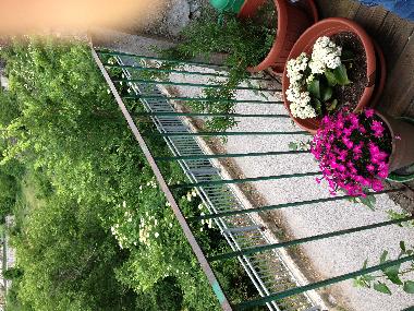 Apartamento de vacaciones en Ortona Dei Marssi (L