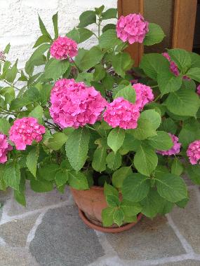 Apartamento de vacaciones en Lugano (Lugano)Casa de vacaciones