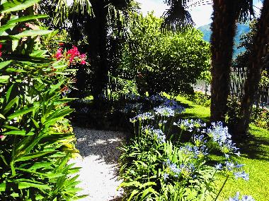 Apartamento de vacaciones en RIVA DEL GARDA (Trento)Casa de vacaciones