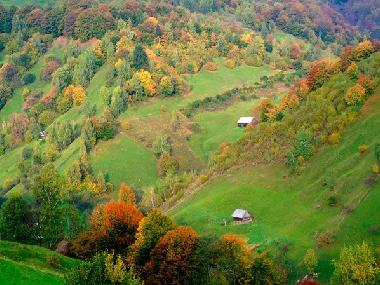 Cama y desayuno en Predelut (bran) (Brasov)Casa de vacaciones