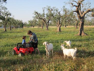 Villa en Porto Cesareo (Lecce)Casa de vacaciones