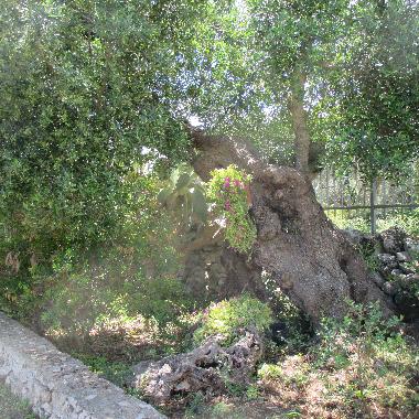 Villa en Porto Cesareo (Lecce)Casa de vacaciones