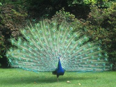 Villa en Porto Cesareo (Lecce)Casa de vacaciones