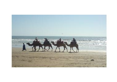 Apartamento de vacaciones en Taghazout (Agadir)Casa de vacaciones