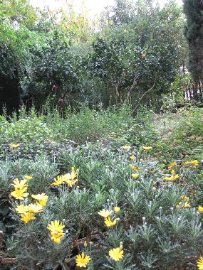 Casa de vacaciones en roma (Roma)Casa de vacaciones