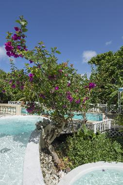 Chalet en Grand Bourg (Guadeloupe)Casa de vacaciones