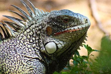 Casa de vacaciones en fontein (Curacao)Casa de vacaciones