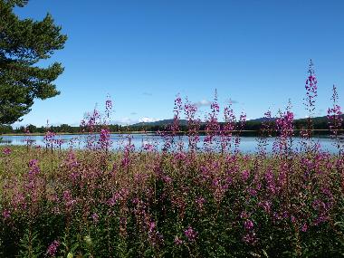 Casa de vacaciones en Gargn�s (V�sterbotten)Casa de vacaciones