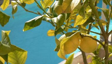 Villa en Marseillan (H�rault)Casa de vacaciones