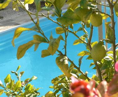 Villa en Marseillan (H�rault)Casa de vacaciones