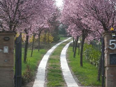 Apartamento de vacaciones en MOASCA (Asti)Casa de vacaciones