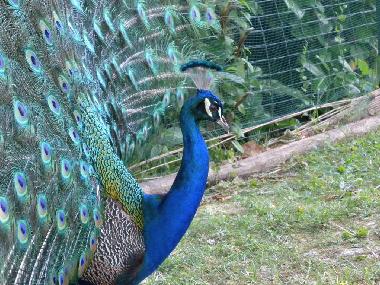 Apartamento de vacaciones en MOASCA (Asti)Casa de vacaciones