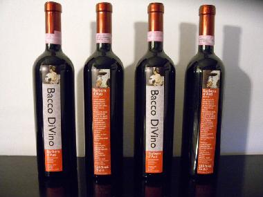 Apartamento de vacaciones en MOASCA (Asti)Casa de vacaciones