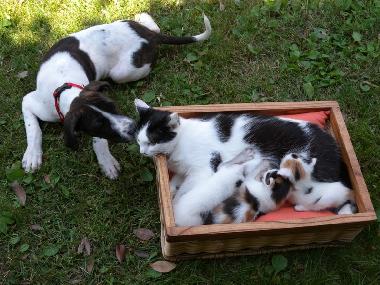 Apartamento de vacaciones en MOASCA (Asti)Casa de vacaciones