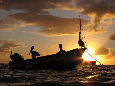 Chalet en Bouillante (Guadeloupe)Casa de vacaciones