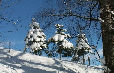 Casa de vacaciones en Schwanberg (West- und S�dsteiermark)Casa de vacaciones