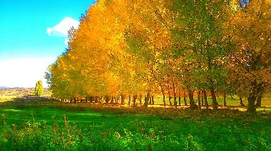 Casa de vacaciones en Terriente (Teruel)Casa de vacaciones