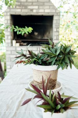 Casa de vacaciones en Costa Rica (Puntarenas)Casa de vacaciones