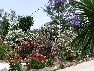 Casa de vacaciones en Almogia (Mlaga)Casa de vacaciones