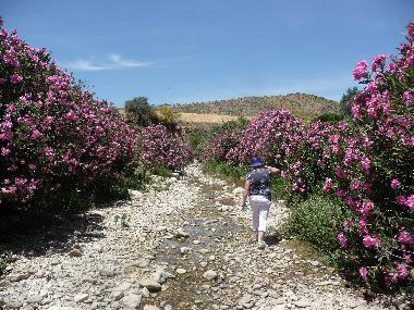 Casa de vacaciones en Almogia (Mlaga)Casa de vacaciones