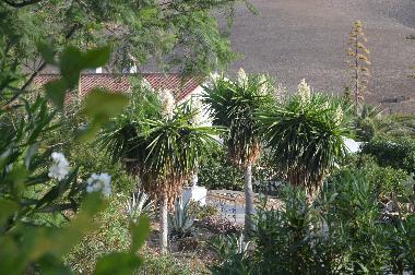 Casa de vacaciones en Almogia (Mlaga)Casa de vacaciones