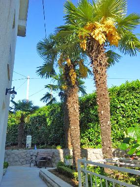 Casa de vacaciones en Matulji  (Primorsko-Goranska)Casa de vacaciones