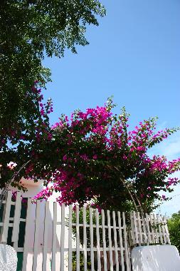 Apartamento de vacaciones en Torre Suda (Lecce)Casa de vacaciones