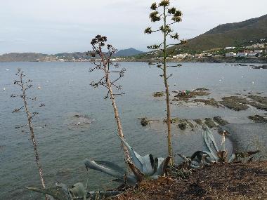 Apartamento de vacaciones en Llanca (Girona)Casa de vacaciones