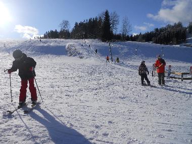 Apartamento de vacaciones en Litschau (Waldviertel)Casa de vacaciones