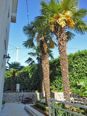 Apartamento de vacaciones en Matulji (Primorsko-Goranska)Casa de vacaciones