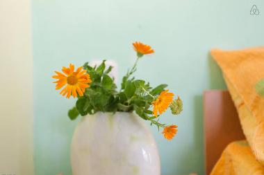 Apartamento de vacaciones en Pestani (Ohrid)Casa de vacaciones