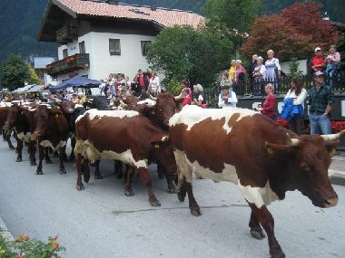 Apartamento de vacaciones en Krimml (Pinzgau-Pongau)Casa de vacaciones