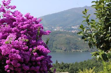 Casa de vacaciones en Raiva, Castelo de Paiva (Norte)Casa de vacaciones