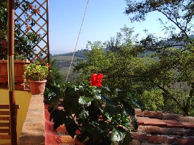 Cama y desayuno en Scandicci (Firenze) (Firenze)Casa de vacaciones