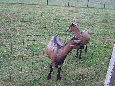 Casa de vacaciones en criquetot l esneval (Seine-Maritime)Casa de vacaciones